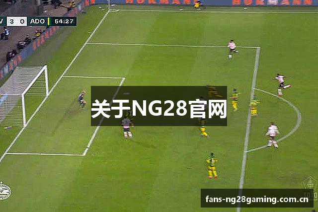 关于NG28官网